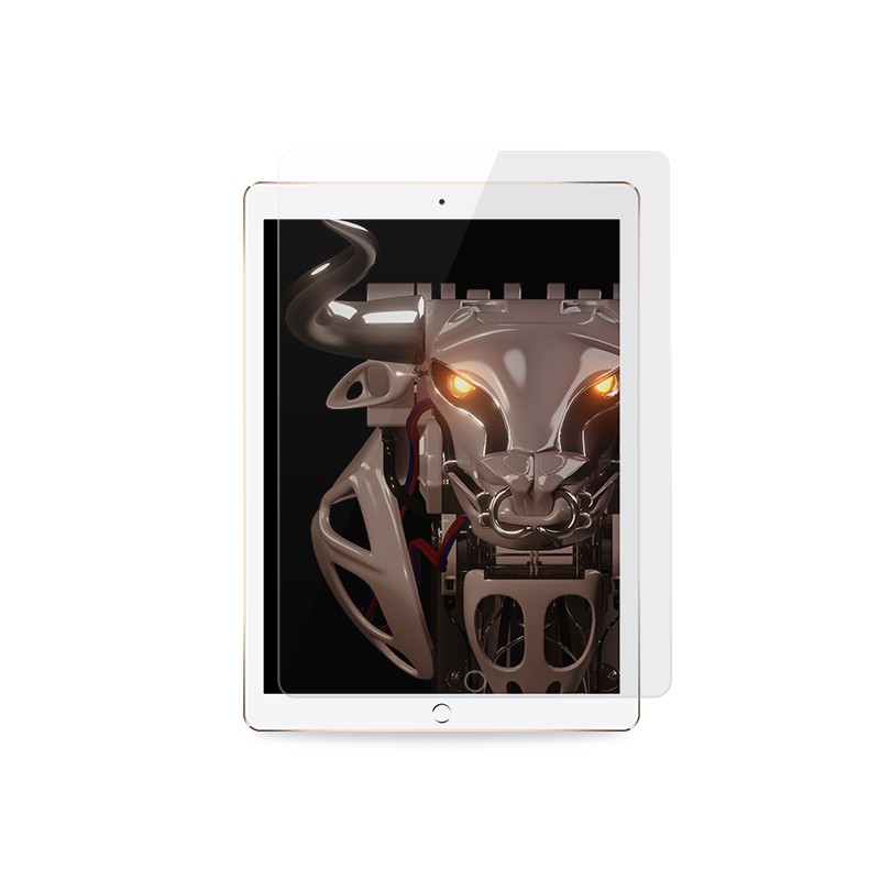 Bull W Full Screen Glass | iPad 2/3/4
